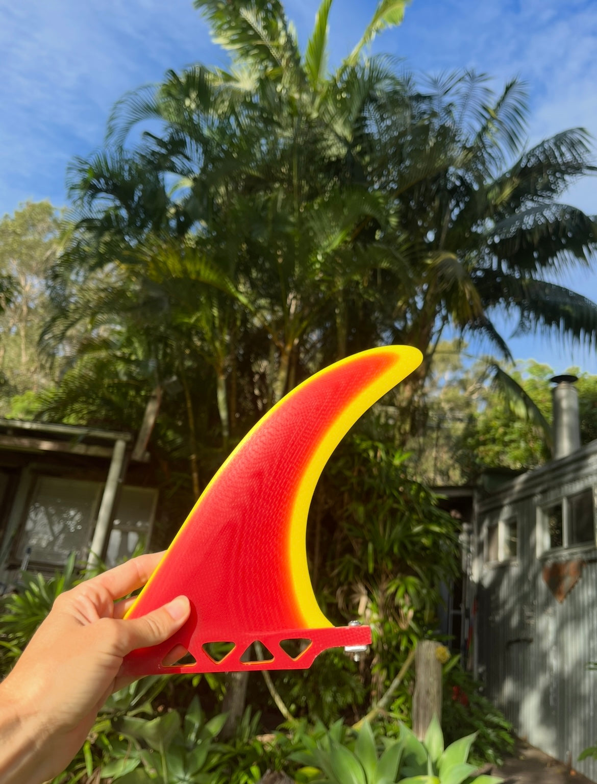 Cheetah Five Fins
