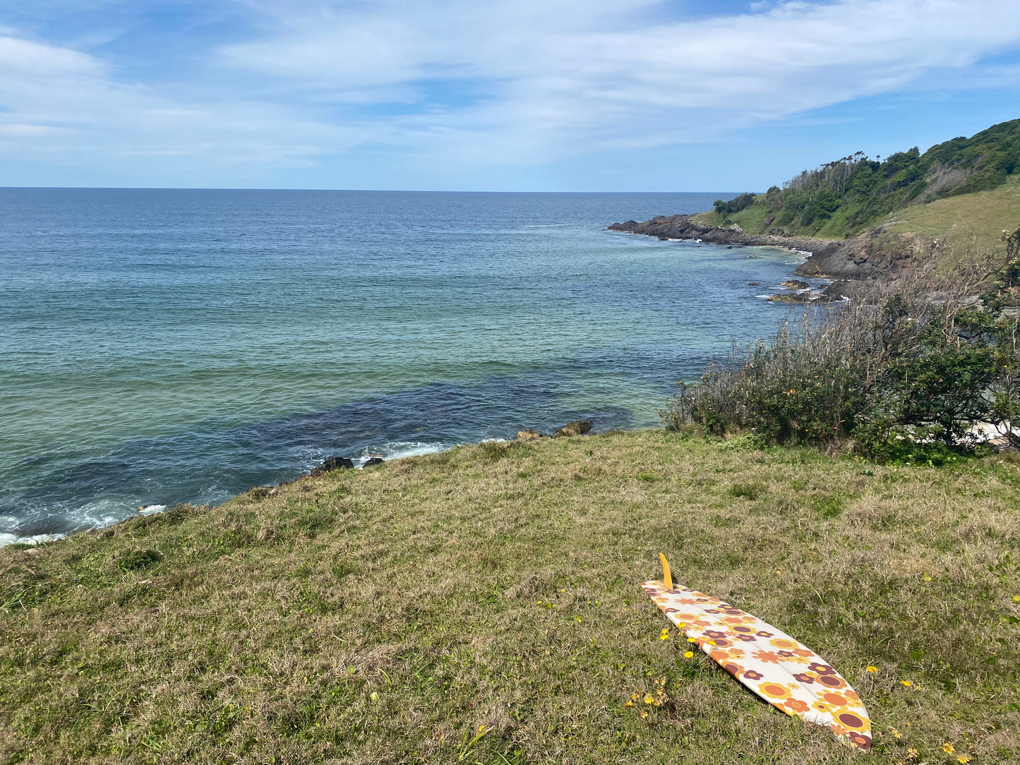 Cheetah Five single fin