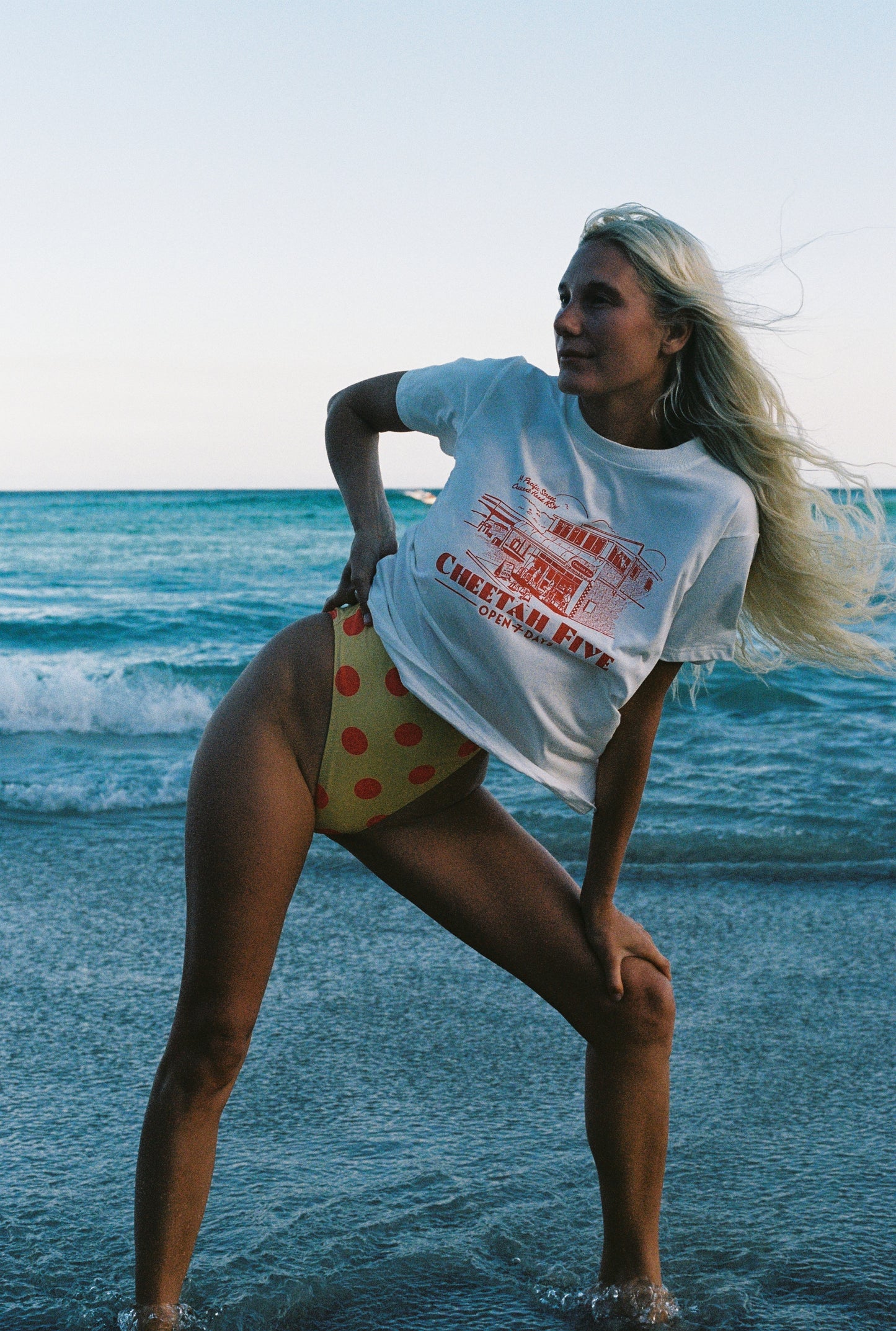 Cheetah Five Shop Front Tee