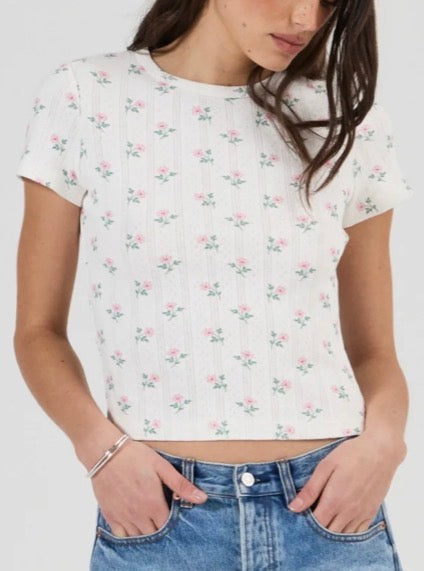 Rolla’s Pointelle Classic Tee - POSEY