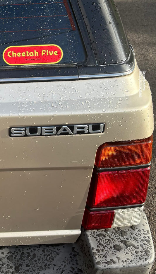 Cheetah Five Sticker