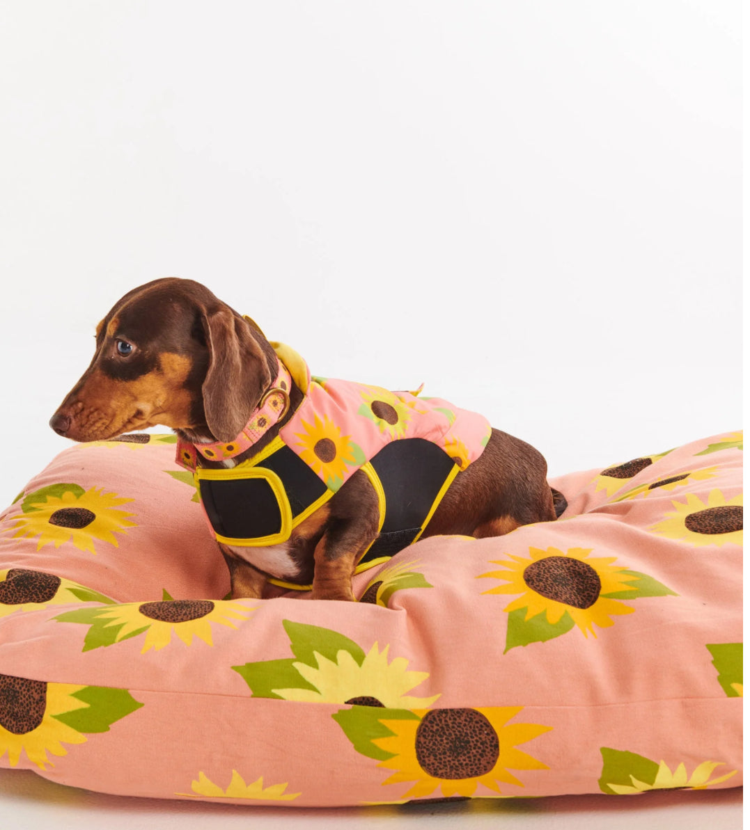 Kip & Co Dog Bed - SUNFLOWER